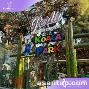 koala park 6