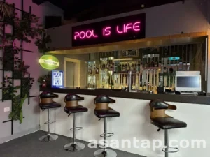 pro pool 2