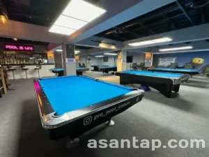 pro pool 6