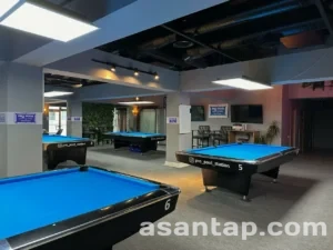 pro pool 7