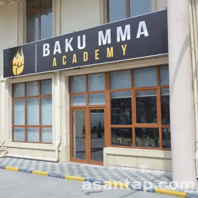 mma academy