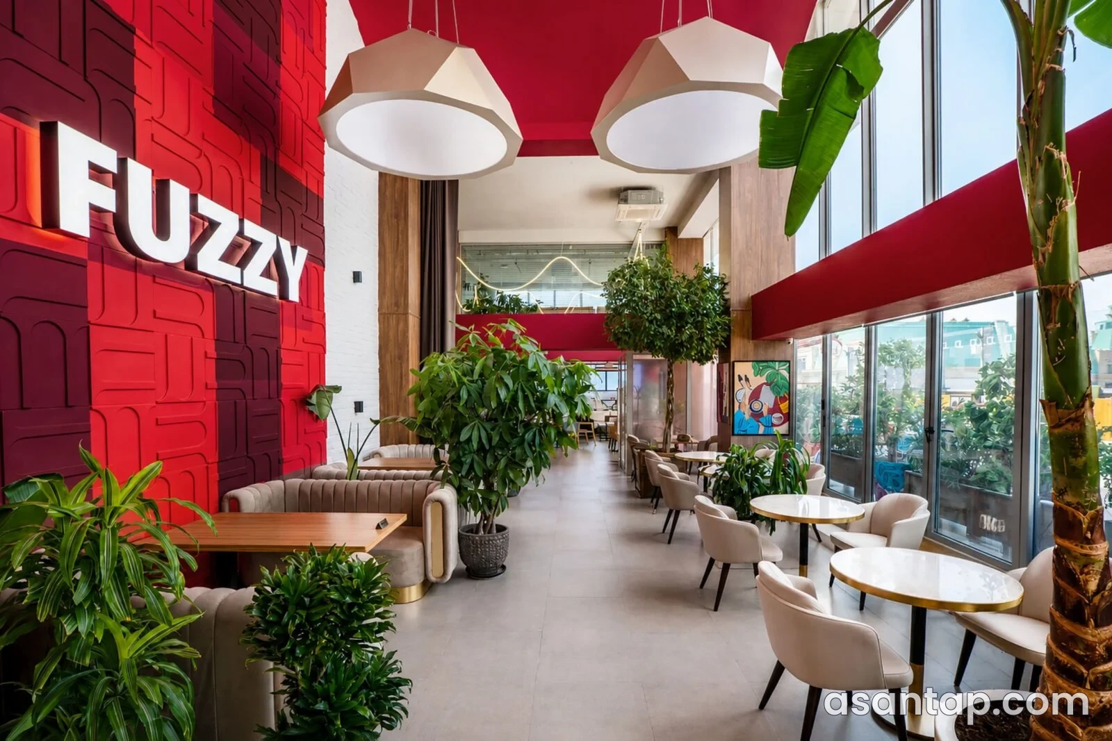 Fuzzy Coffee & Wine — qırmızı divar, iri lampalar və bitkilərlə məkanın interyeri