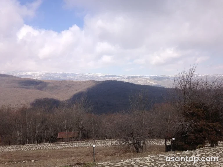Pirqulu meşələri