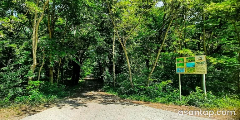 Samur–Yalama Milli Parkı