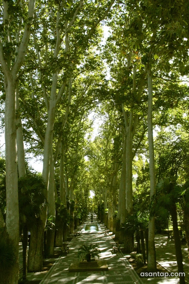 Xan bağı