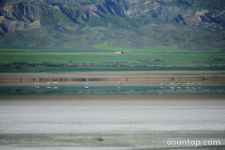 Acınohur gölü