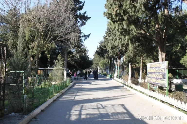 Mərdəkan Dendrologiya bağı