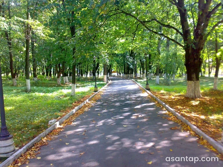 Heydər Əliyev parkı — Zaqatala