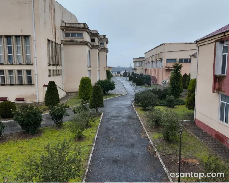 Arena Hotel — Astara