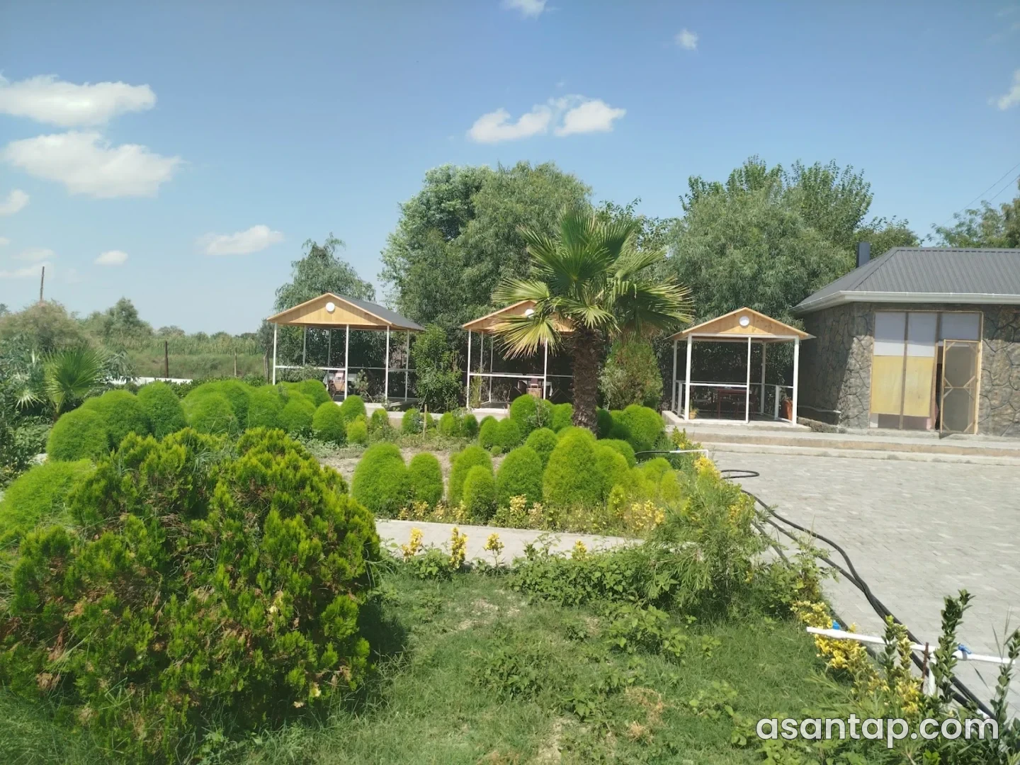 İnci Ailəvi Restoranın yaşıllıqlı həyətində açıq oturacaqlar və palma