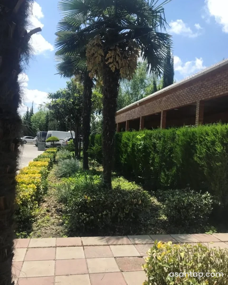 Ucar restoranının palma və həmişəyaşıl kollarla salınmış həyəti və kərpic eyvanı