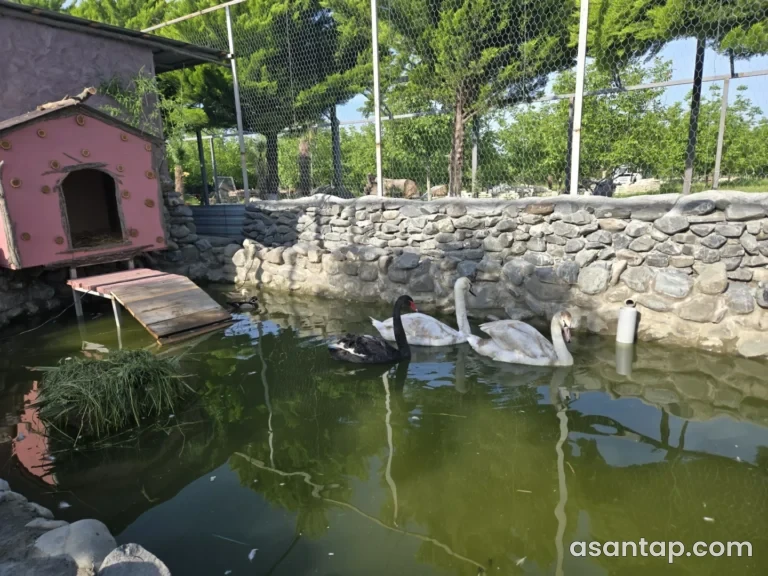 Doctorbio Qax Eco Park