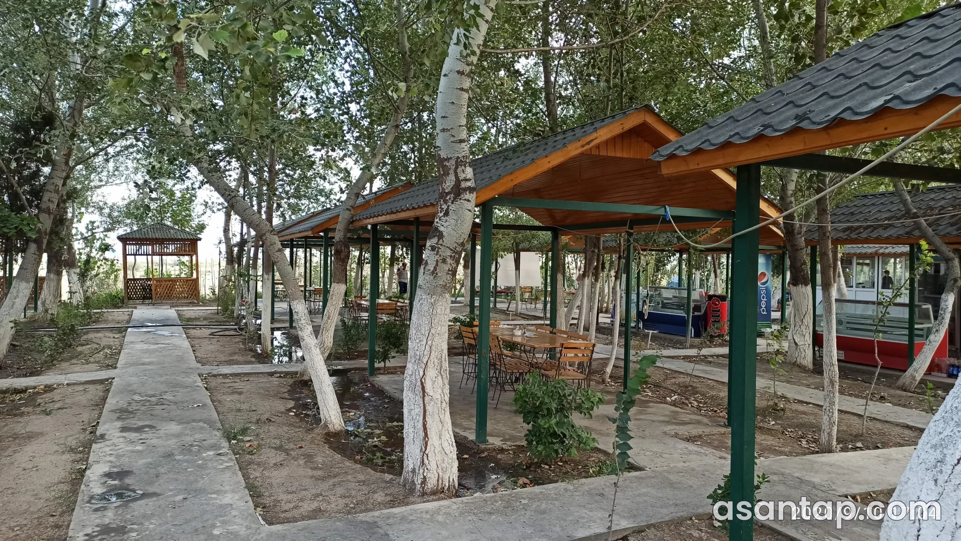 Sərin restoranında ağaclar arasında taxta damlı masa sahələri — 10 sentyabr 2020 arxiv fotosu