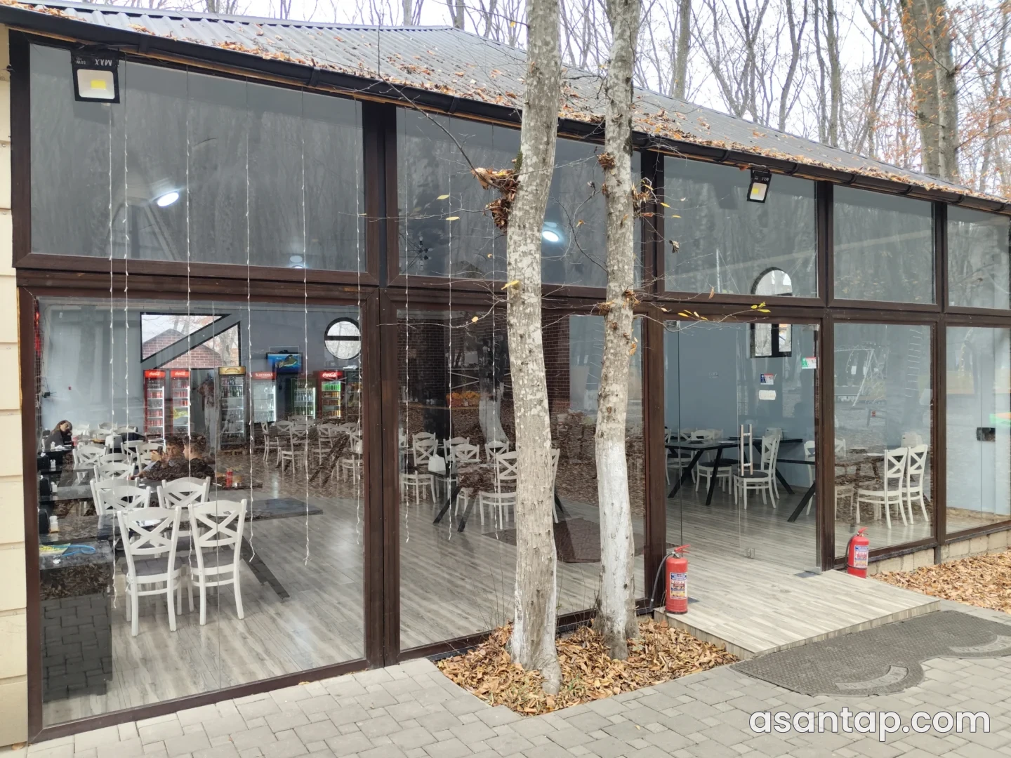 Şah Quba restoranının meşə ağacları arasındakı şüşə divarlı yemək zalı