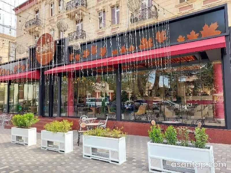 Gəncədə Chinar restoranının yarpaq motivli lövhəsi, şüşəli fasadı və ağ dibçək qutuları