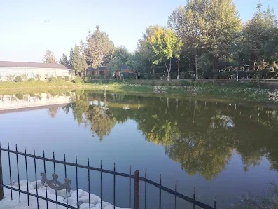 Şam restoranının ağaclar və zal binası ilə əhatələnən hovuz mənzərəsi