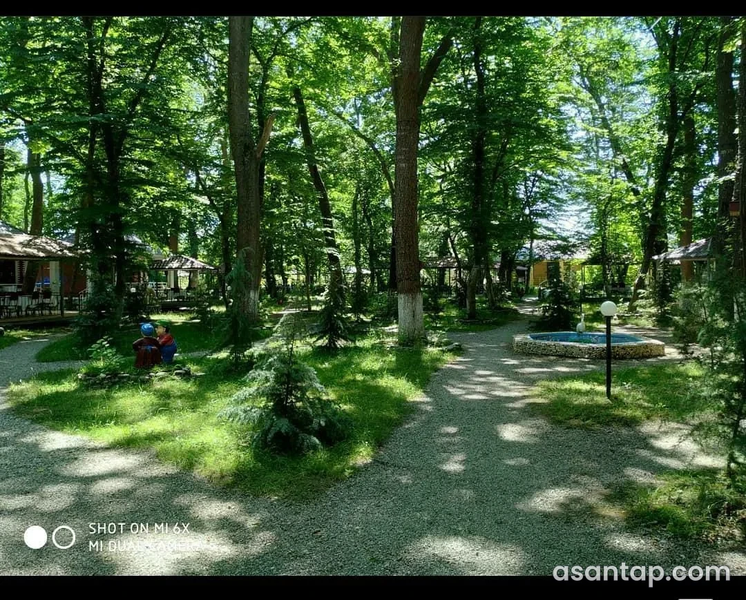 Maral Göl restoranının ağaclı bağında yollar, açıq çardaqlar və kiçik dairəvi su hovuzu