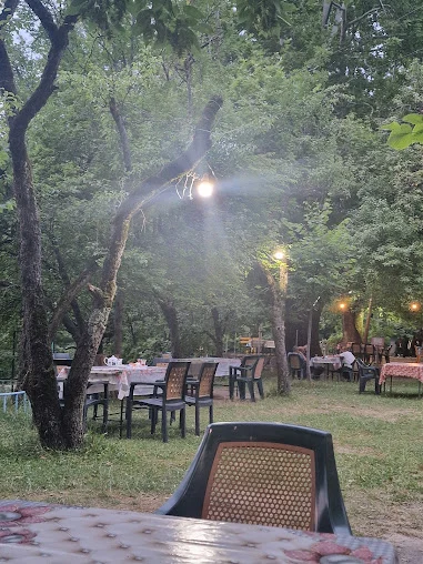 Mustafa bəy bağında ağaclar arasında süfrəli masalar, oturacaqlar və asma işıqlar