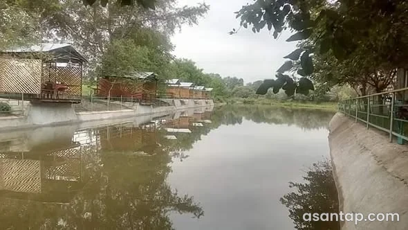 Şıxlı Göl restoranında su kənarında sıralanan üstüörtülü çardaqlar