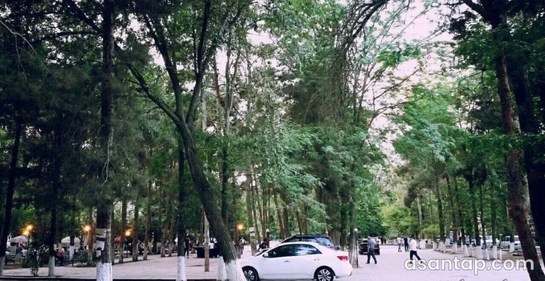 Sabir bağı — Sabirabad