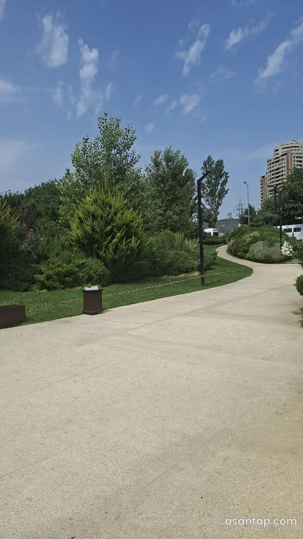 Meşə tipli park — Yasamal